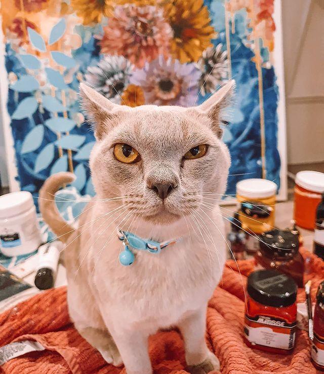 Teddy, The Cat Behind My Art - Uncommon Florals